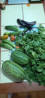 팜모닝 팜모닝·출석 게시글 이미지