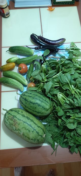 농사 사랑님의 팜모닝 · 출석 작성글 사진