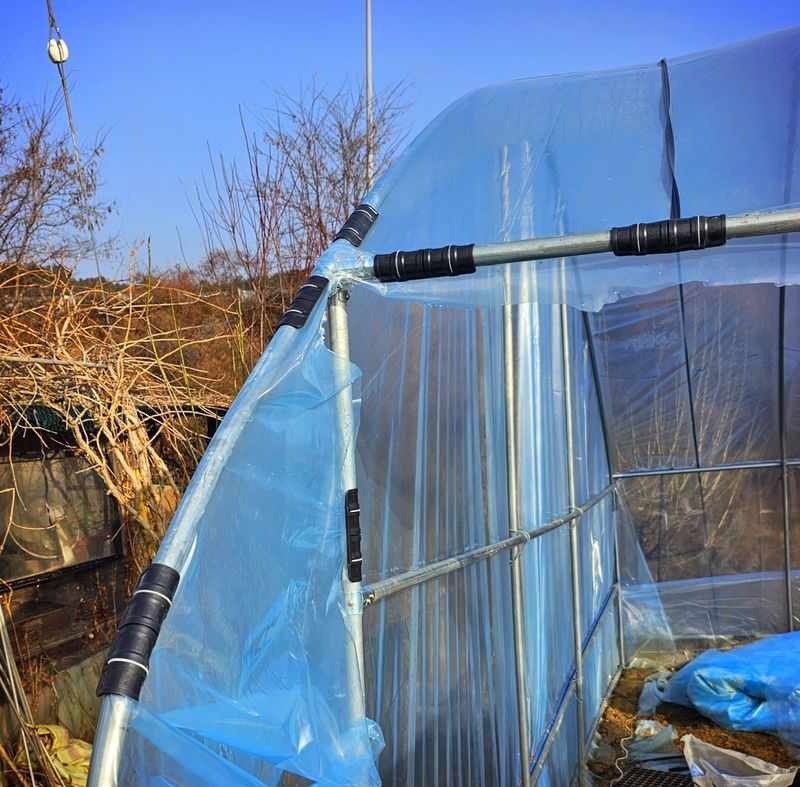 한농농약종묘사님의 장터 판매 상품 [하우스클립 파이프클립 10개묶음 ] 첨부 사진