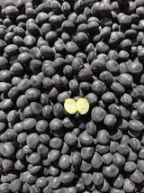 팜모닝 · 게시글 이미지