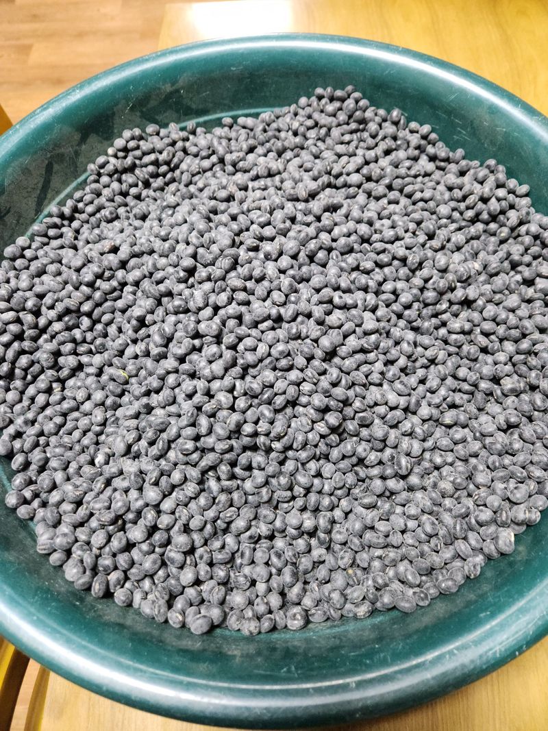 이대주님의 장터 판매 상품 [서리태 새바람 1kg] 첨부 사진