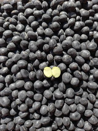 이대주님의 작성글 사진