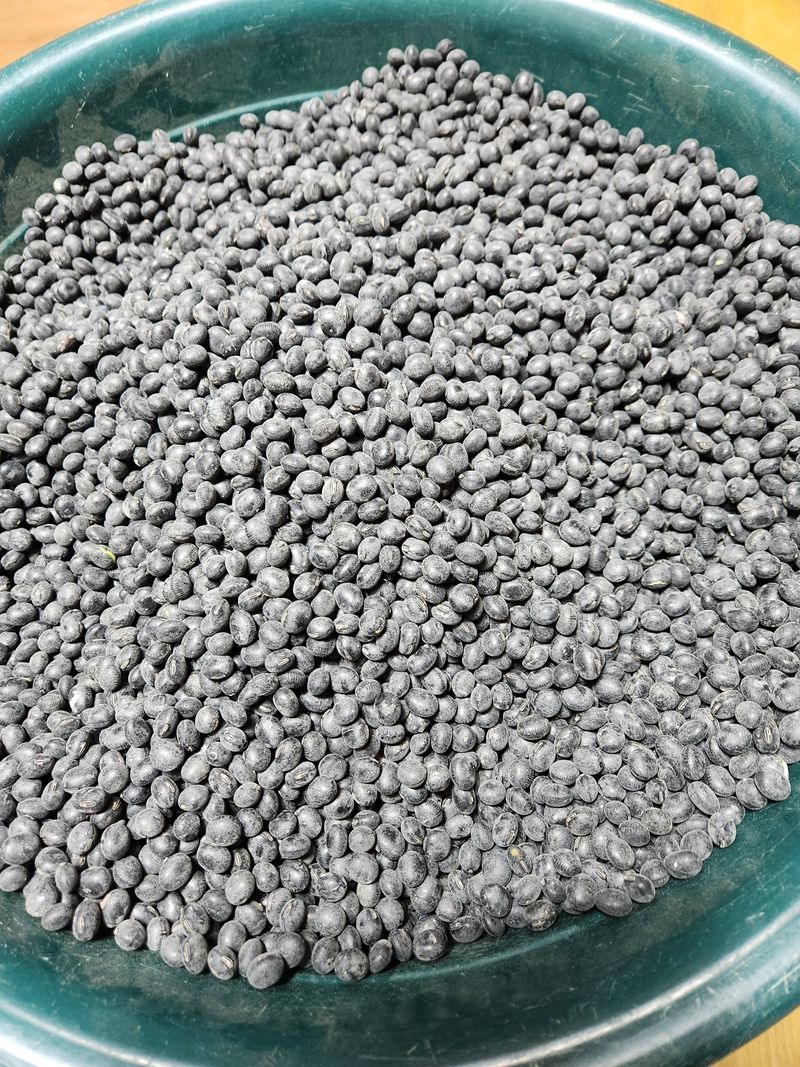 이대주님의 장터 판매 상품 [서리태 새바람 1kg] 첨부 사진