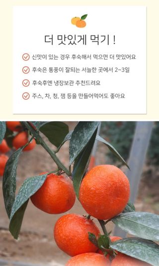 고랑이랑 임수연님의 최근 산 물건을 알려주세요! · 참여글 작성글 사진