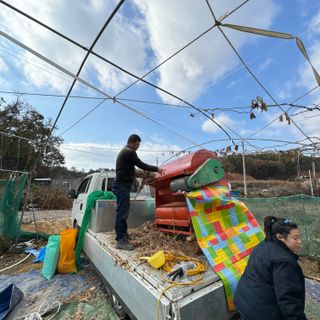 힐링농장님의 콩 · 자유게시판 작성글 사진