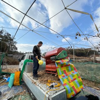 힐링농장님의 콩 · 자유게시판 작성글 사진