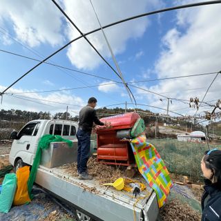 힐링농장님의 콩 · 자유게시판 작성글 사진