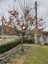 팜모닝 자유주제·자유게시판 게시글 이미지