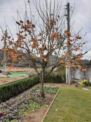 양파5749님의 자유주제 · 자유게시판 작성글 사진