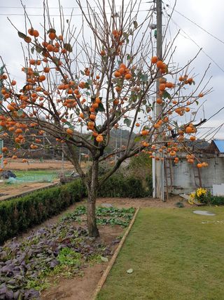 양파5749님의 자유주제 · 자유게시판 작성글 사진