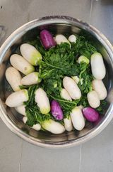 팜모닝 기타작물·자유게시판 게시글 이미지