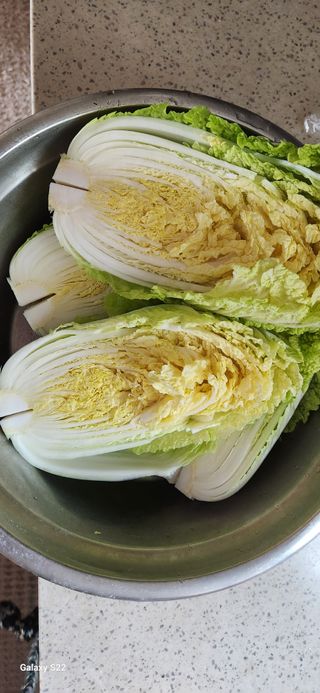 접시꽃님의 기타작물 · 자유게시판 작성글 사진