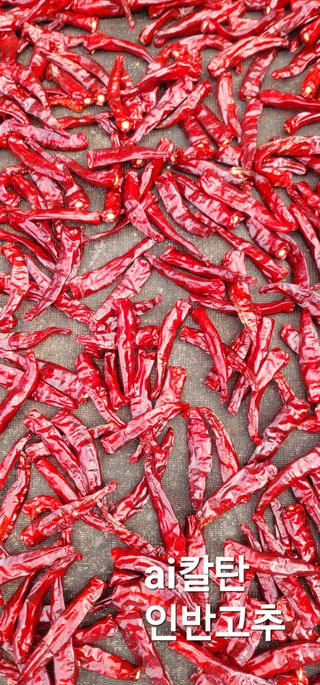 산조아자연인님의 최근 산 물건을 알려주세요! · 참여글 작성글 사진