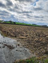 팜모닝 배추·영농일지 게시글 이미지