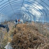 팜모닝 콩·자유게시판 게시글 이미지