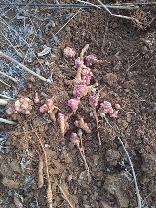 이재국님의 작성글 사진