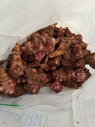 이재국님의 작성글 사진