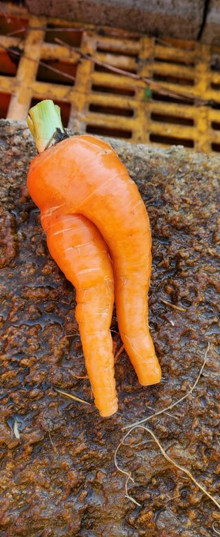 합천SOON님의 자유주제 · 자유게시판 작성글 사진