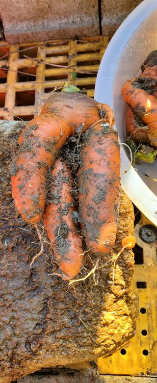 합천SOON님의 자유주제 · 자유게시판 작성글 사진