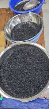 팜모닝 기타작물·영농일지 게시글 이미지