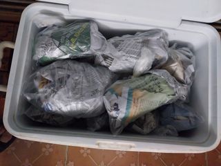 Byh6905님의 배추 · 영농일지 작성글 사진