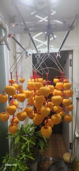 팜모닝 감·자유게시판 게시글 이미지