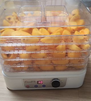 접시꽃님의 감 · 자유게시판 작성글 사진