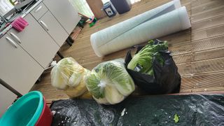 ♡5도2촌pys♡님의 배추 · 자연재해•동물피해 작성글 사진