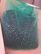 팜모닝 최근 산 물건을 알려주세요!·참여글 게시글 이미지