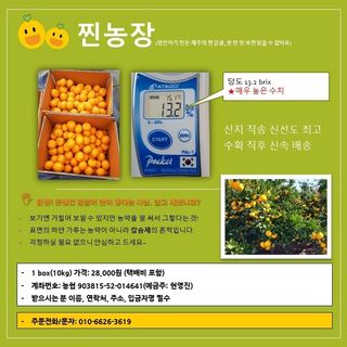 현영진님의 작성글 사진