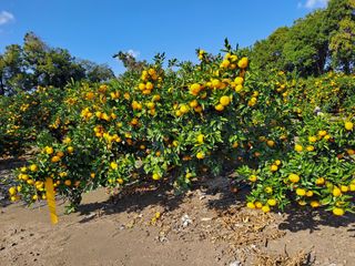 현영진님의 작성글 사진