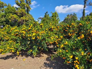 현영진님의 작성글 사진