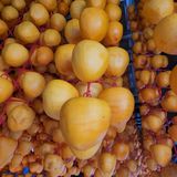 팜모닝 최근 산 물건을 알려주세요!·참여글 게시글 이미지