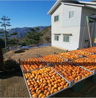 블루베리.대봉 곶감님의 최근 산 물건을 알려주세요! · 참여글 작성글 사진