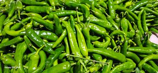 헤라네(김정현)님의 자유주제 · 자유게시판 작성글 사진