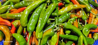 헤라네(김정현)님의 자유주제 · 자유게시판 작성글 사진