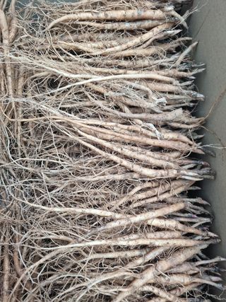 이호성님의 기타작물 · 자유게시판 작성글 사진