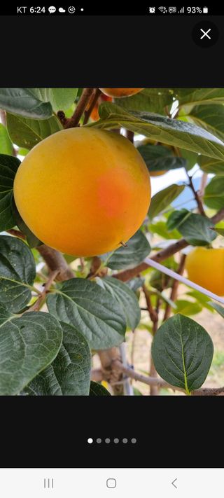 김종영_군산솔라팜님의 최근 산 물건을 알려주세요! · 참여글 작성글 사진