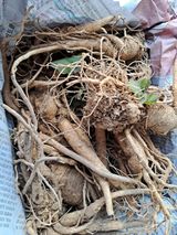 팜모닝 최근 산 물건을 알려주세요!·참여글 게시글 이미지