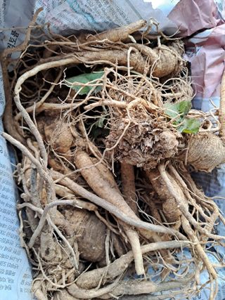 곽해영님의 최근 산 물건을 알려주세요! · 참여글 작성글 사진