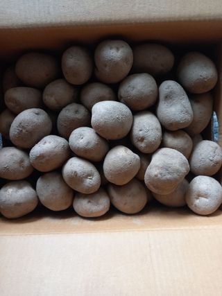 전북전주이영자님의 최근 산 물건을 알려주세요! · 참여글 작성글 사진