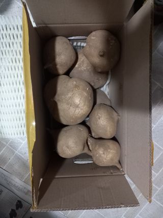 전북전주이영자님의 최근 산 물건을 알려주세요! · 참여글 작성글 사진