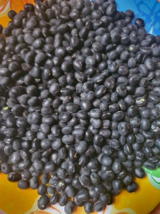 신재경님의 작성글 사진