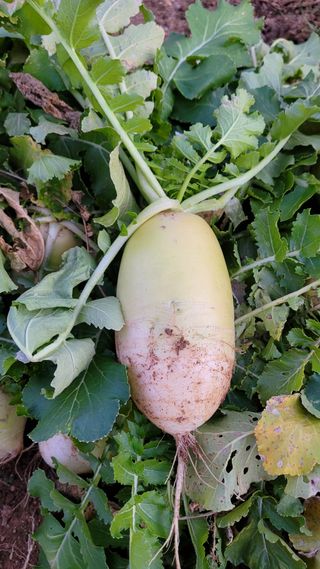 장선영님의 자유주제 · 자유게시판 작성글 사진