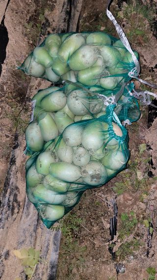 장선영님의 자유주제 · 자유게시판 작성글 사진