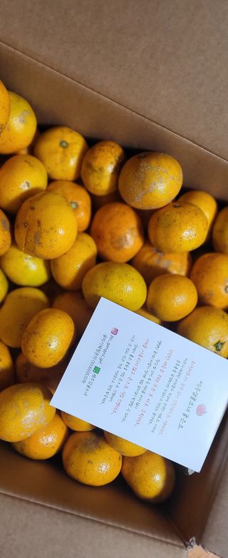 조미숙님의 최근 산 물건을 알려주세요! · 참여글 작성글 사진