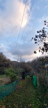 팜모닝 자유주제·자유게시판 게시글 이미지