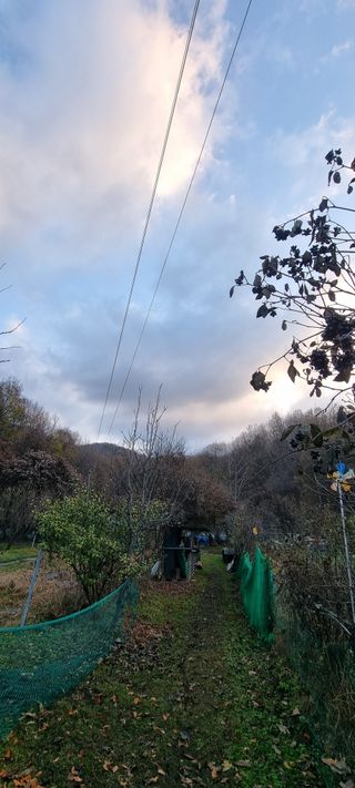 달방구님의 자유주제 · 자유게시판 작성글 사진