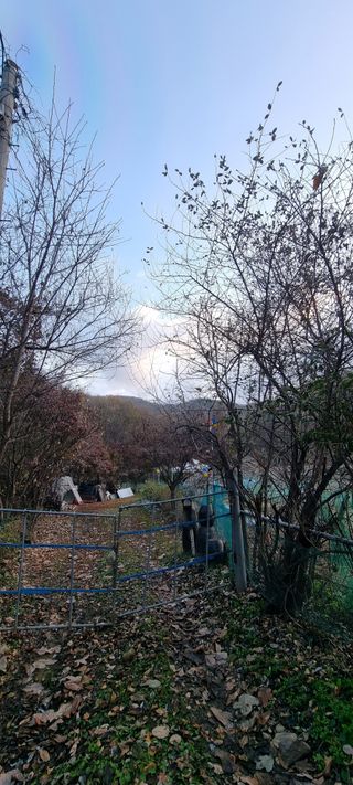 달방구님의 자유주제 · 자유게시판 작성글 사진