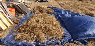 이상주님의 콩 · 자유게시판 작성글 사진